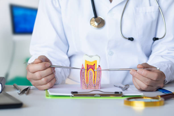Best Emergency Root Canal Treatment in White Hall, WV